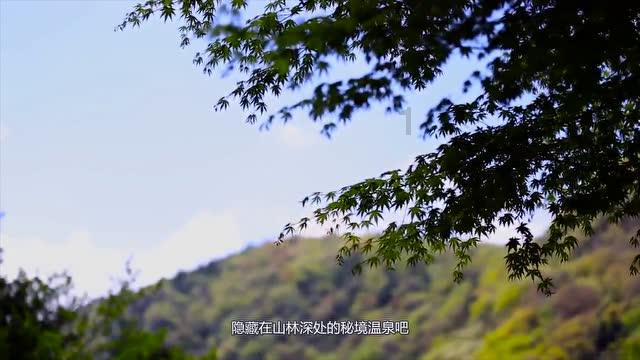 人文财经观察家、秦朔朋友圈发起人秦朔荣膺“2023年度十大意见领袖”