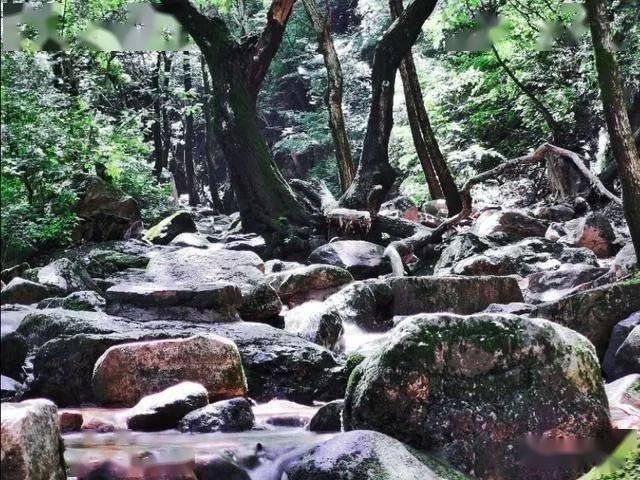 探探猫历险记